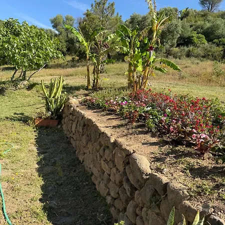 La Aldea De Finca Santa Teresa, Casa La Higuera Casares Exterior photo